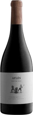 Pago de Aylés Senda de Leñadores Vino de Pago Aylés Botella Magnum 1,5 L