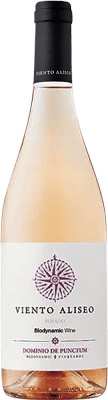 Punctum Viento Aliseo Rosado Bobal La Mancha 75 cl