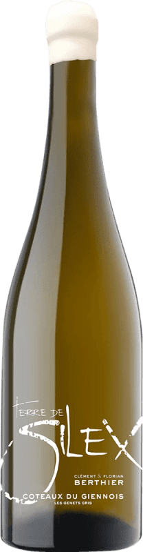 Envío gratis | Vino blanco Clément et Florian Berthier Terre de Silex A.O.C. Sancerre Francia Sauvignon Blanca 75 cl