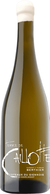 Kostenloser Versand | Weißwein Clément et Florian Berthier Terre de Caillote Coteaux du Giennois Frankreich Sauvignon Weiß 75 cl