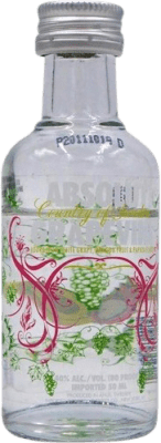 Vodka Absolut Gräpevine Garrafinha Miniatura 5 cl Grape — Uva