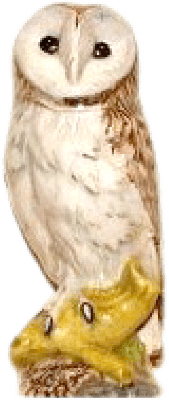 169,95 € Kostenloser Versand | Blended Whisky Whyte & Mackay Owl Kleine Flasche 20 cl