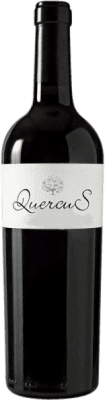 Fontana Quercus Tempranillo Uclés マグナムボトル 1,5 L