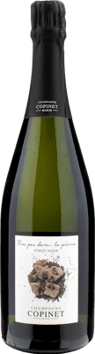 Marie Copinet Nos Pans dans la Pierre Pinot Black Champagne 75 cl