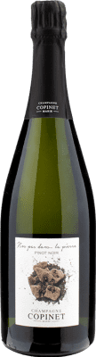 Marie Copinet Nos Pans dans la Pierre Pinot Nero Champagne 75 cl