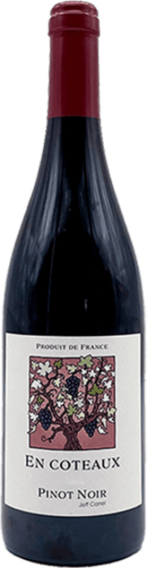 Free Shipping | Red wine Jeff Carrel Coteaux France Pinot Black 75 cl