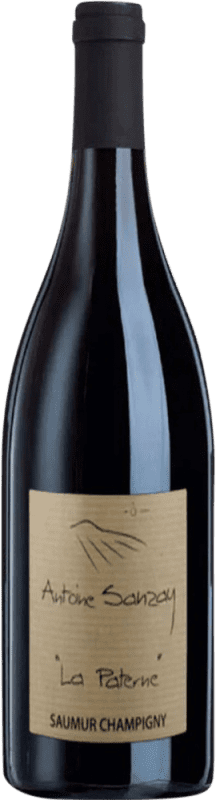 22,95 € | Rotwein Antoine Sanzay La Paterne A.O.C. Saumur-Champigny Frankreich Cabernet Franc 75 cl