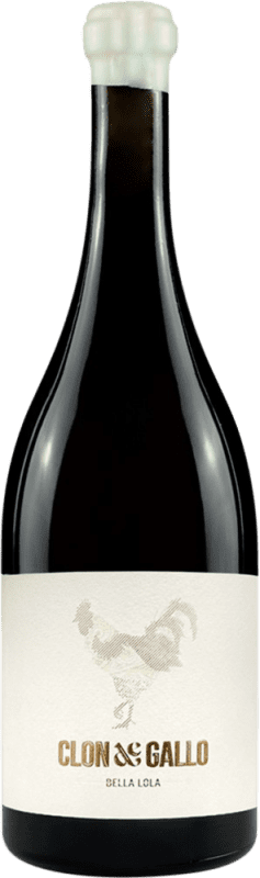 54,95 € Free Shipping | White wine D.O. Rueda