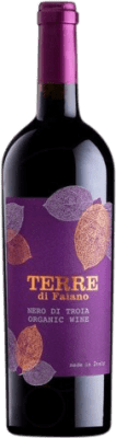 Terre di Faiano Nero di Troia Puglia Joven 75 cl