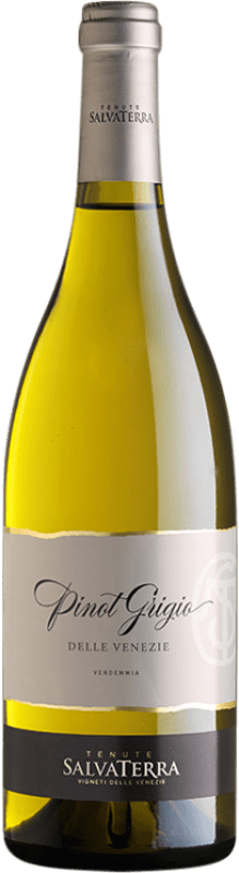 Envio grátis | Vinho branco Salvaterra I.G.T. Delle Venezie Itália Pinot Cinza 75 cl