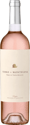 Botter Carlo Terre di Montelusa Nero di Troia Puglia 75 cl
