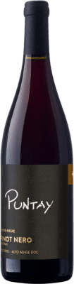 Erste Neue Puntay Pinot Black Alto Adige 预订 75 cl