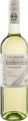 Fachwerk Grauburgunder Rheinhessen 75 cl