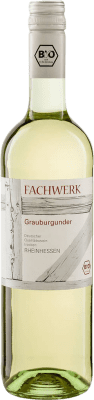 Fachwerk Pinot Gris Rheinhessen Eco — Organic 75 cl