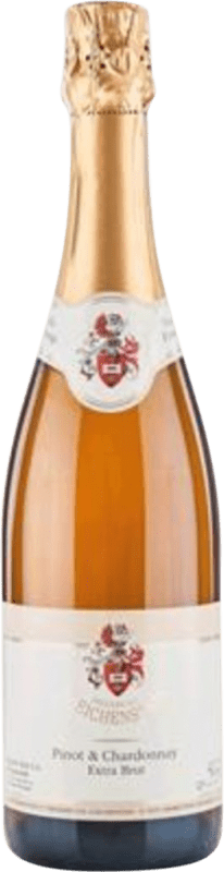 Envoi gratuit | Blanc mousseux Freiherr von Gleichenstein Badischer Pinot & Chardonnay Sekt Extra- Brut I.G. Baden Baden Allemagne Pinot Noir, Chardonnay 75 cl