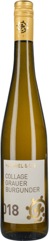 Free Shipping | White wine Hammel Collage Q.b.A. Pfälz Pfälz Germany Pinot Grey 75 cl