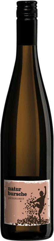 Envio grátis | Vinho tinto Landgraf Naturbursche Seco Q.b.A. Rheinhessen Rheinhessen Alemanha Pinot Preto 75 cl