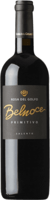 Rosa del Golfo Belnoce