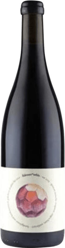 Бесплатная доставка | Красное вино Rudolf Fidesser Orbis Natural Wine Rotwein Австрия 75 cl