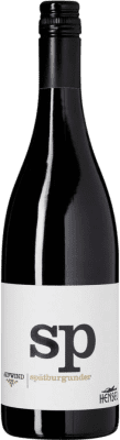 Thomas Hensel Aufwind Pinot Preto Seco Pfälz 75 cl