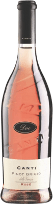 Canti Rosé Pinot Cinza Seco Delle Venezie 75 cl