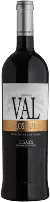 Valdelosfrailes Pago de las Costanas Tempranillo 75 cl