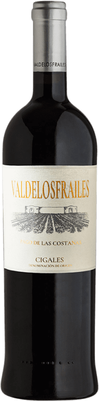 73,95 € Envío gratis | Vino Tinto Valdelosfrailes Pago de las Costanas
