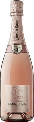 Juvé y Camps Rosé Pinot Black Brut 75 cl