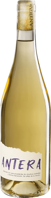 Free Shipping | White wine Antigva Spain Verdejo 75 cl