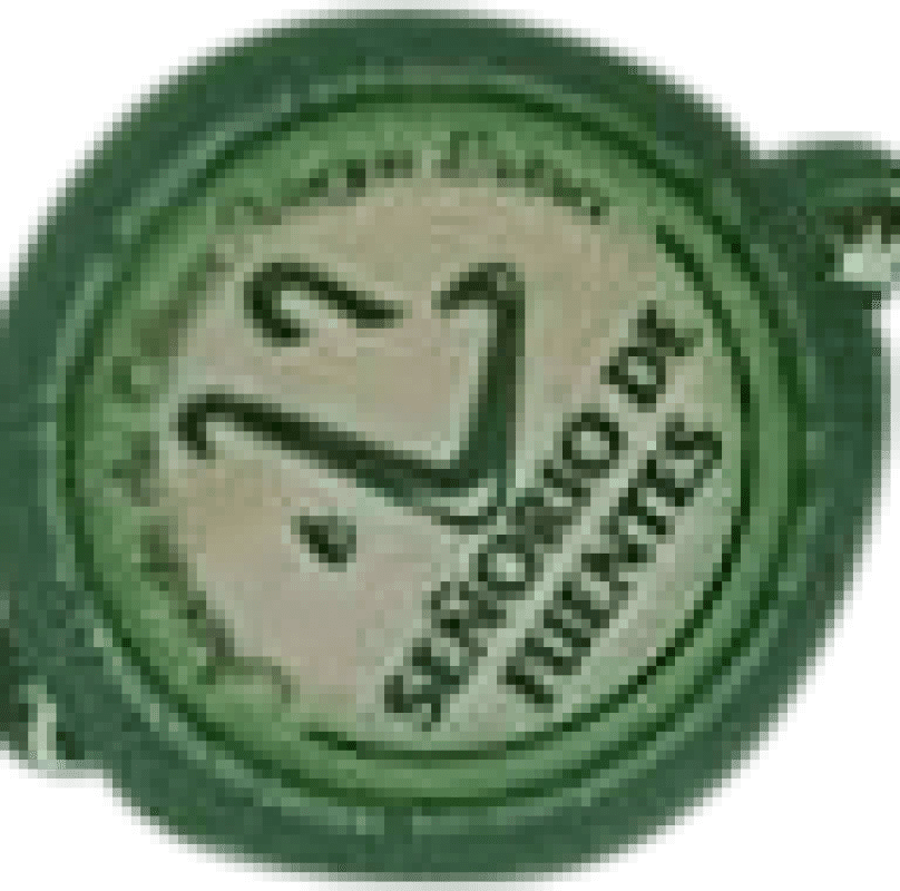 Free Shipping | 400 units box Olive Oil Señorío de Fuentes EVOO Extra Virgin Spain Single Dose 1 cl