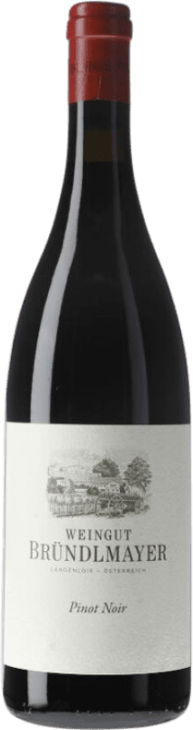 免费送货 | 红酒 Bründlmayer I.G. Kamptal 坎普谷 奥地利 Pinot Black 75 cl