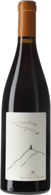 Domaine de Bellivière Raisins Migrateurs Grenache 75 cl