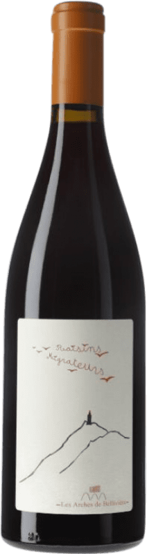 送料無料 | 赤ワイン Bellivière Raisins Migrateurs ロワール フランス Grenache 75 cl