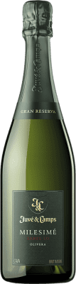 Juvé y Camps Millésimé Xarel·lo Brut Cava Gran Reserva 75 cl