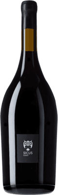 Sicus Penedès Magnum-Flasche 1,5 L