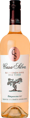 Casa Silva