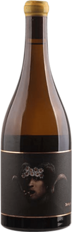 72,95 € | 白酒 Oxer Wines Terlegiz D.O. Bizkaiko Txakolina 巴斯克地区 西班牙 Hondarribi Zuri 75 cl