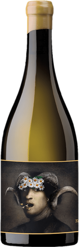 66,95 € Envoi gratuit | Vin Blanc Oxer Wines Terlegiz D.O. Bizkaiko Txakolina