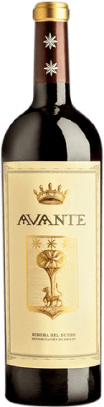 17,95 € 免费送货 | 红酒 Jorge Ordóñez Avante 岁 D.O. Ribera del Duero