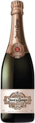 Juvé y Camps Milesimé Rosé Canister Pinot Negro Cava 75 cl