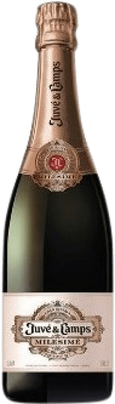 57,95 € 免费送货 | 玫瑰气泡酒 Juvé y Camps Milesimé Rosé Canister D.O. Cava