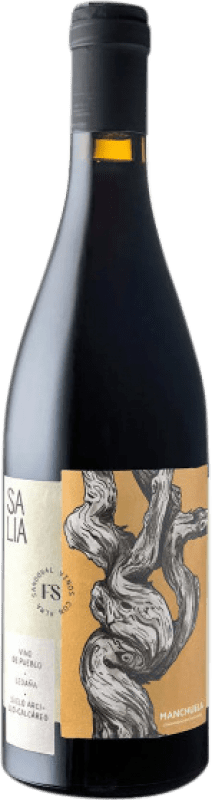 16,95 € | 赤ワイン Finca Sandoval Salia 若い D.O. Manchuela カスティーリャ・ラ・マンチャ スペイン Syrah, Grenache Tintorera 75 cl