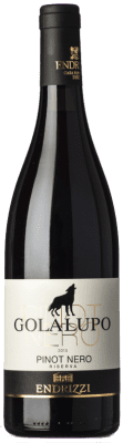 Endrizzi Golalupo Pinot Black Trentino 预订 75 cl