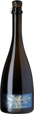 Cider Éric Bordelet Poiré Granit Normandia - Sidra 75 cl