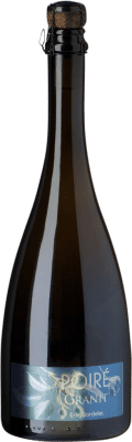 Cidre Éric Bordelet Poiré Granit Normandia - Sidra 75 cl