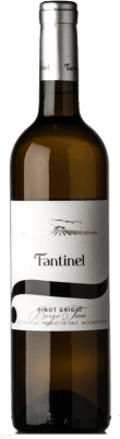 Fantinel Borgo Tesis Pinot Grey Friuli 75 cl