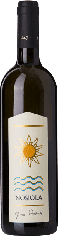 Envio grátis | Vinho branco Gino Pedrotti D.O.C. Trentino Trentino-Alto Adige Itália Nosiola 75 cl