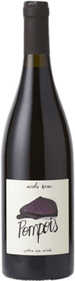 Nicolas Réau Pompois Rouge Cabernet Franc Anjou 75 cl