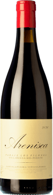 Cantalapiedra Arenisca Paraje Los Pilones Tinta de Toro 高齢者 75 cl