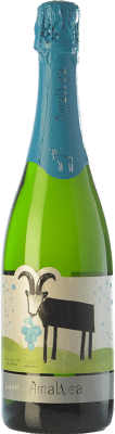 Loxarel Amaltea Природа Брута Penedès Резерв 75 cl